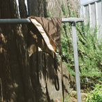 maple⟶mocha - SAUCEswim